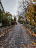 Kvarnbyn: Görjelycksgatan